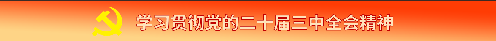 学习贯彻党的二十届三中全会精神